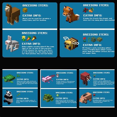 Image result for Minecraft Tips Infographs