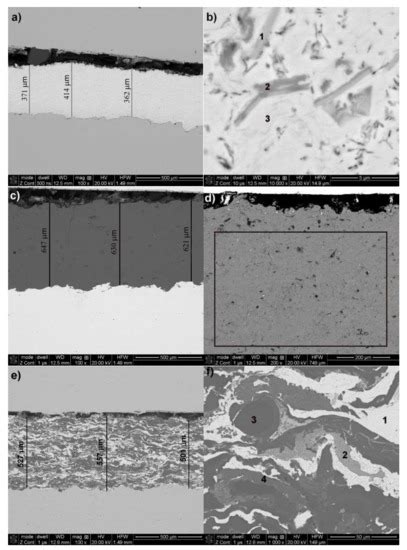 Effect of Low Chloride and Sulfate Concentrations on Corrosion Behavior ...