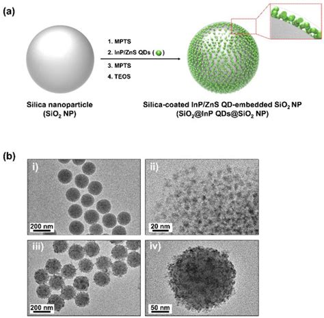 IJMS | September-2 2022 - Browse Articles