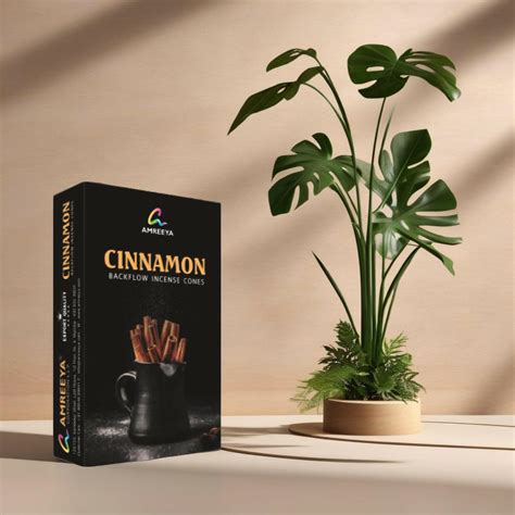 Amreeya Cinnamon Delight Backflow Incense Cones - 10 Cone/ Box - Pack