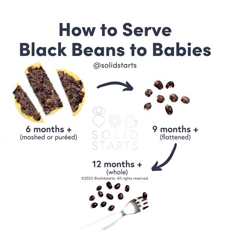 Can Babies Eat Black Beans? - Motherhood’s Bliss