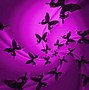 Image result for Spring Butterfly Screensavers