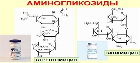 Препараты аминогликозиды – список, механизм действия аминогликозидов ...