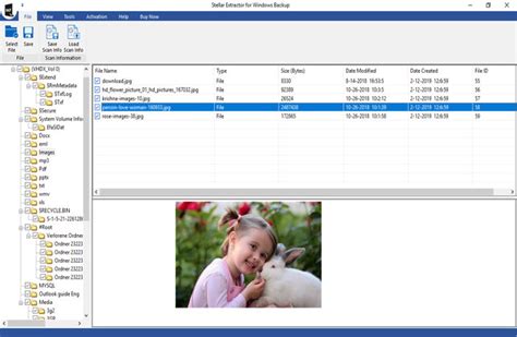 Open BKF File 的图像结果