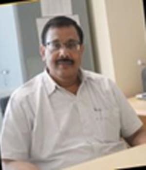 Faculty | School of Computer Science and Information Technology