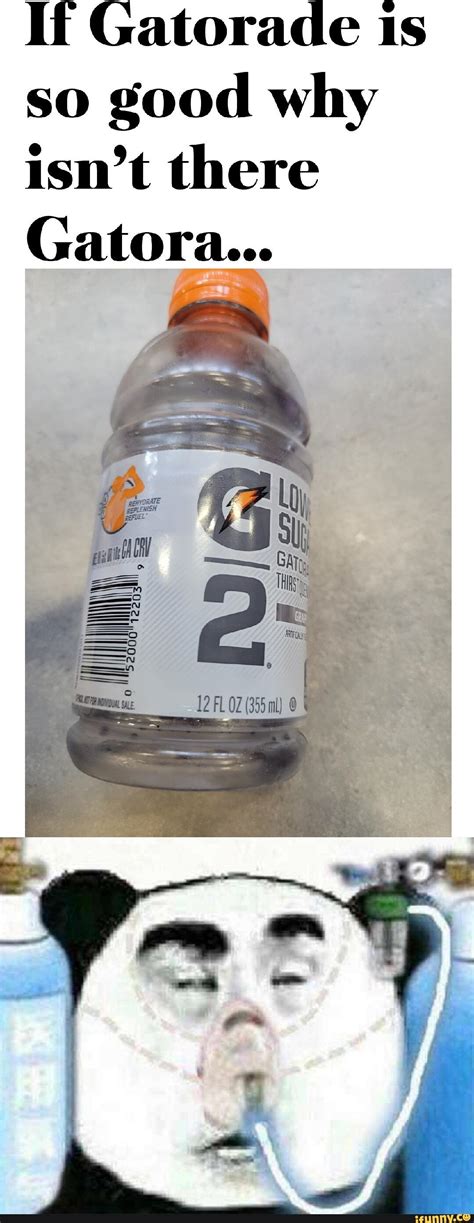 Chinese Panda Oxygen Mask (meme) | Chinese Panda Wearing Oxygen Mask ...