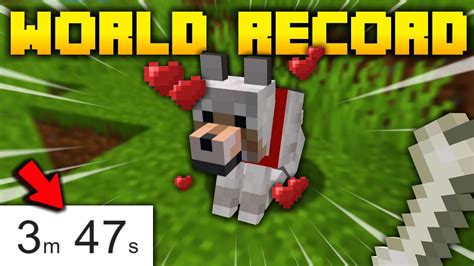 Image result for Minecraft Speedrun World Record