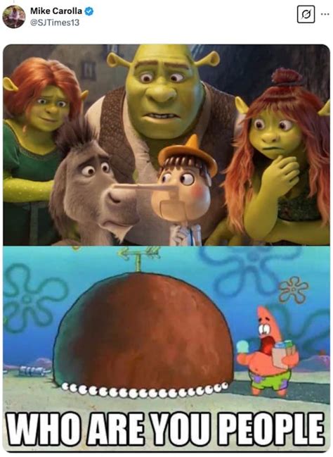 Image result for Shrek Script Memes