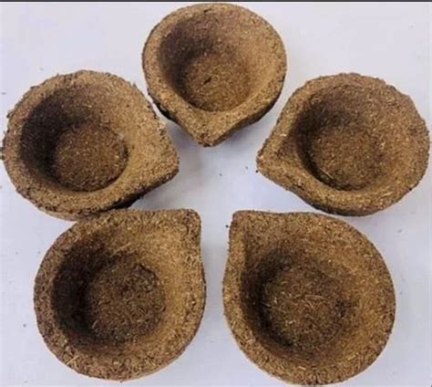 Eco Friendly Cow Dung Diya Manufacturer, Supplier from Delhi