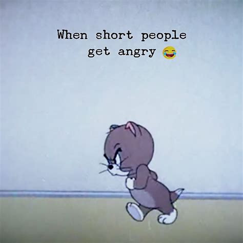 When Short People Get Angry: Short People Memes