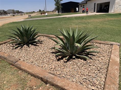 Expert Landscaping & Turf Installation in Odessa, TX | Jacksons Outdoor ...