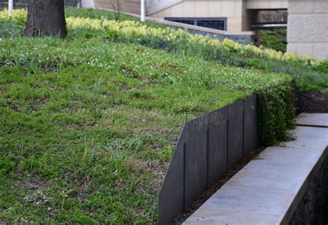 Compression Plate Retaining Wall 的图像结果