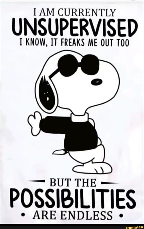 Image result for Unsupervised Meme