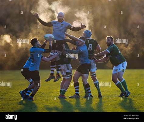Rugby Matches 的图像结果