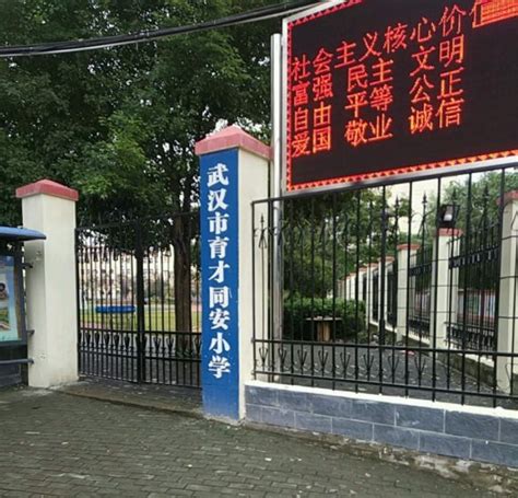 武汉汉阳区最好的初中学校（含中考成绩+对口小学）_小升初网