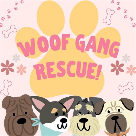 Woof Gang Rescue Adoption Event and Scavenger Hunt at the Oak Creek ...