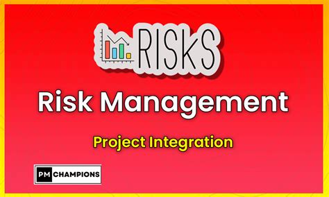 Project Risk Management 的图像结果