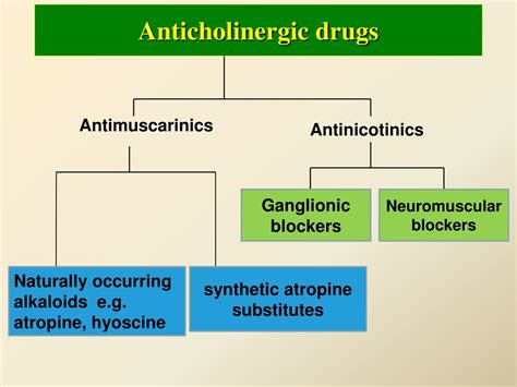 PPT - ANTICHOLINERGIC DRUGS PowerPoint Presentation, free download - ID ...