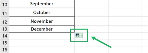 Image result for Auto Fill Options Button Excel