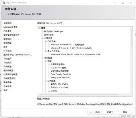 Microsoft SQL Server 的图像结果