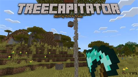 Image result for TreeCapitator 1.18.2