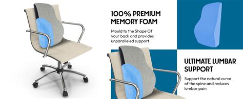 Sleepsia Back Support for Office Chair | 1 Year Warranty | Lumbar ...