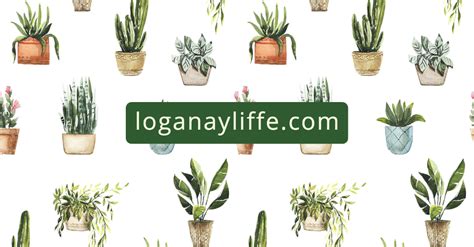 Image result for Java Key