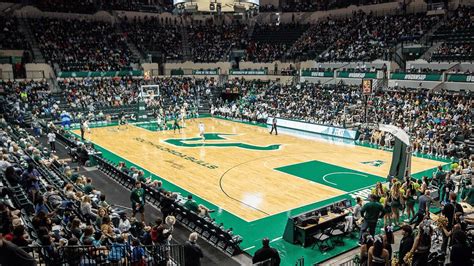 USF Women's Basketball breaks attendance record | That's So Tampa