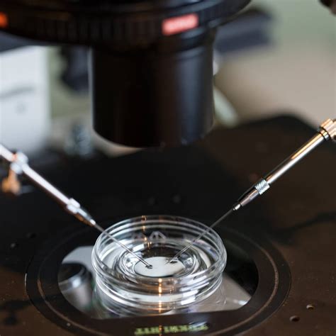 Artificial Insemination (IUI) - Dr Chandrika Parmar