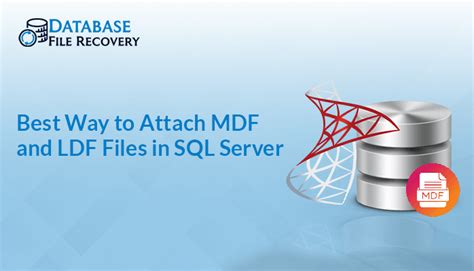 Image result for SQL MDF File