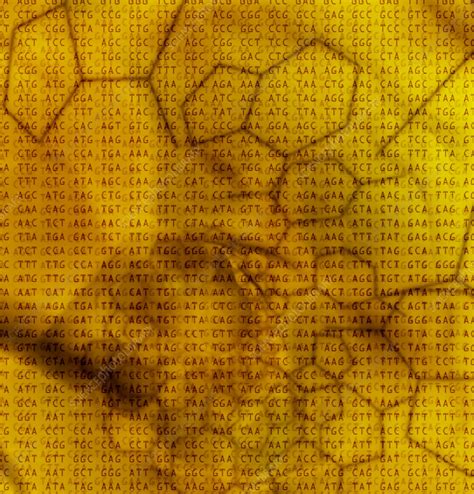 Image result for Genetic Code Videos