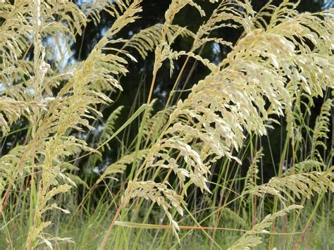 Repetition and Pattern in Art 的图像结果