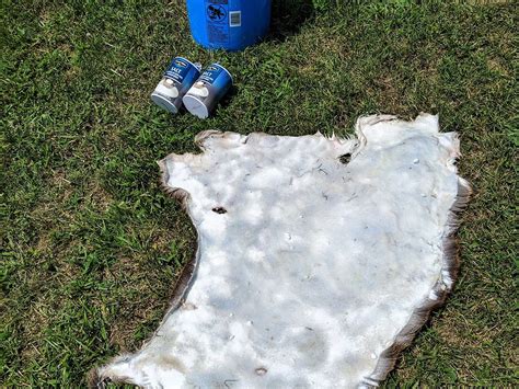 How to tan a deer hide the easy way – Artofit
