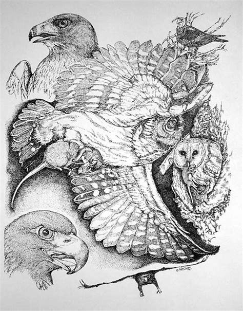 Image result for Collage Drawing