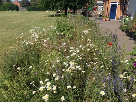 Testwood Lakes Wildlife Watch- Grow your own, Testwood Lakes Nature ...