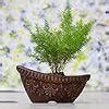 Lasaki Royal Boat Ceramic Pots for Indoor Plants Planters Flower Gamla ...