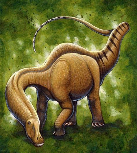 巨型恐龙遗骸出土：恐龙时代有人类？它灭绝的真正原因是什么？