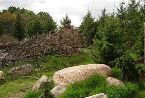 ZooLex Image - Natural exhibit landscape