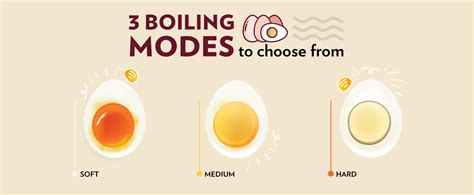 Buy Electric Egg Boiler 360 at Best Price Online in India - Borosil