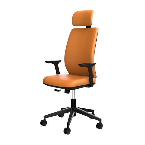 Buy Chairs Online- Ergonomic Office Chair & Orthopedic Chairs Online ...