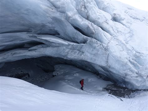 SVALBARD WILDLIFE EXPEDITIONS Guide (2026) All You Need to Know BEFORE ...