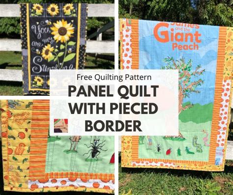 Panel Quilts with Borders 的图像结果