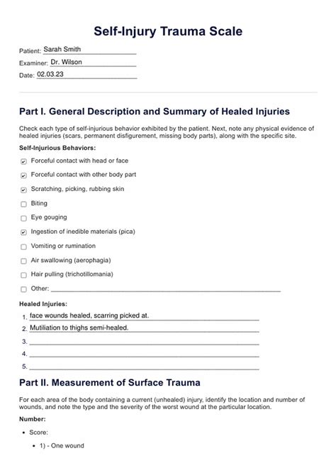 Self Injury Trauma Scale & Example | Free PDF Download