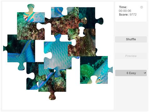 Parrotfish – Olympiad tester