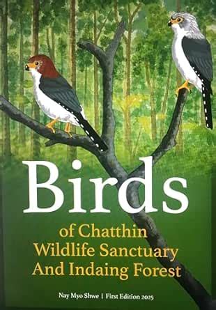 Birds of Chatthin Wildlife Sanctuary and Indaing Forest eBook : Shwe ...