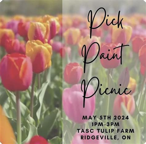 Pick, Paint, Picnic at Tasc Tulip Farm, Tasc Tulip Farm, Ridgeville, 5 ...
