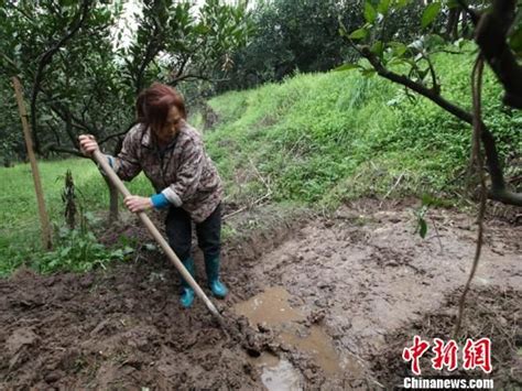 湖北宜昌两村庄将停水一个多月 村民挖井“解渴”_新浪新闻