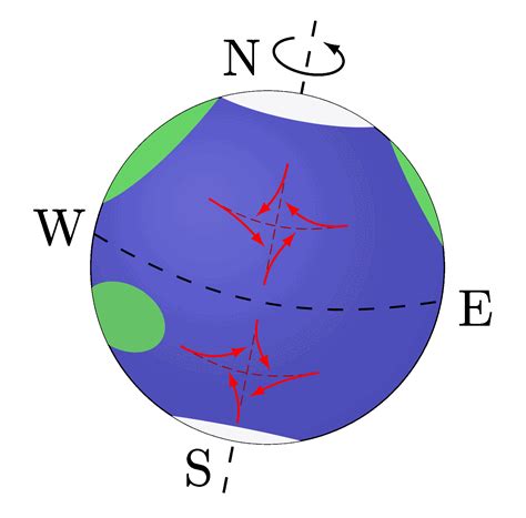 Image result for Plane Tree Identification