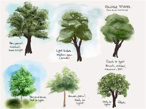 Tree Drawing Shading 的图像结果