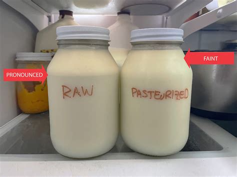 Pasteurized Milk